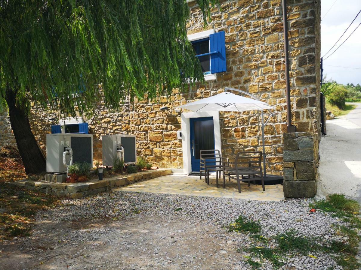 Apartamento Olivia Šmarje Exterior foto